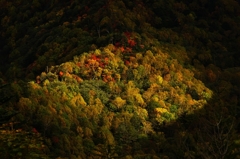山王林道の紅葉