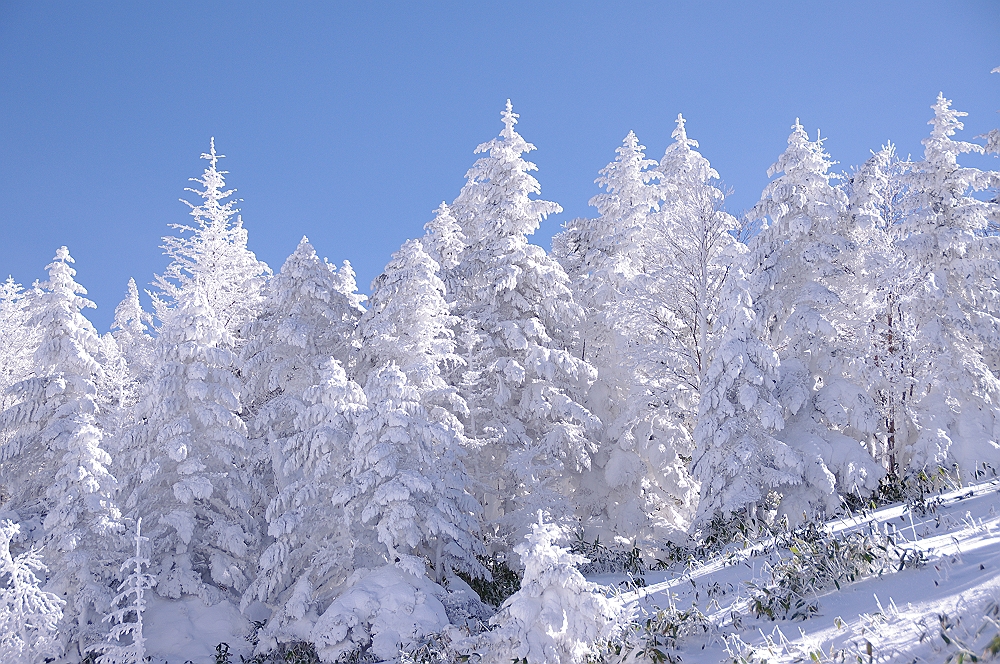 クリスマス寒波の置き土産