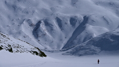 ソフトクリームの世界