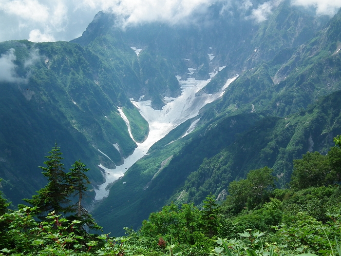 氷河かも