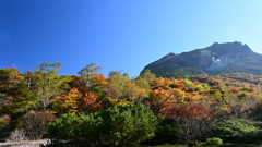 色気づいてきた那須姥ヶ平