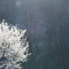 Diamond dust