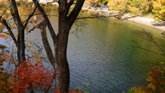 紅葉の沼沢湖