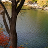 紅葉の沼沢湖