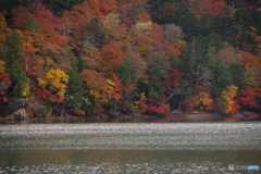 奥日光 西ノ湖の紅葉