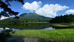 盛夏 尾瀬沼