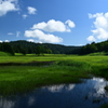 盛夏 尾瀬沼 大江湿原
