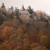 紅葉とうひょ～