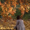 紅葉に美女1