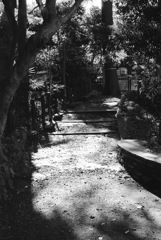 おとめ山公園05