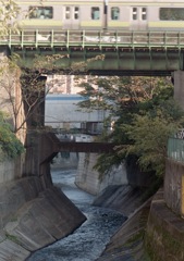 神田川の風景1