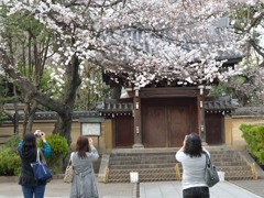 三写三桜