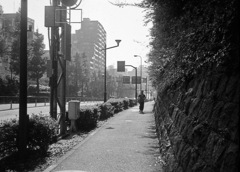 学習院下を走る