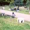 代々木公園の少女