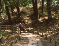 善福寺公園