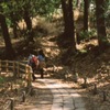 善福寺公園