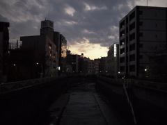 神田川夕景