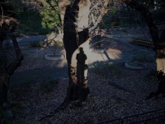 樹皮に焼き付けた自画像2