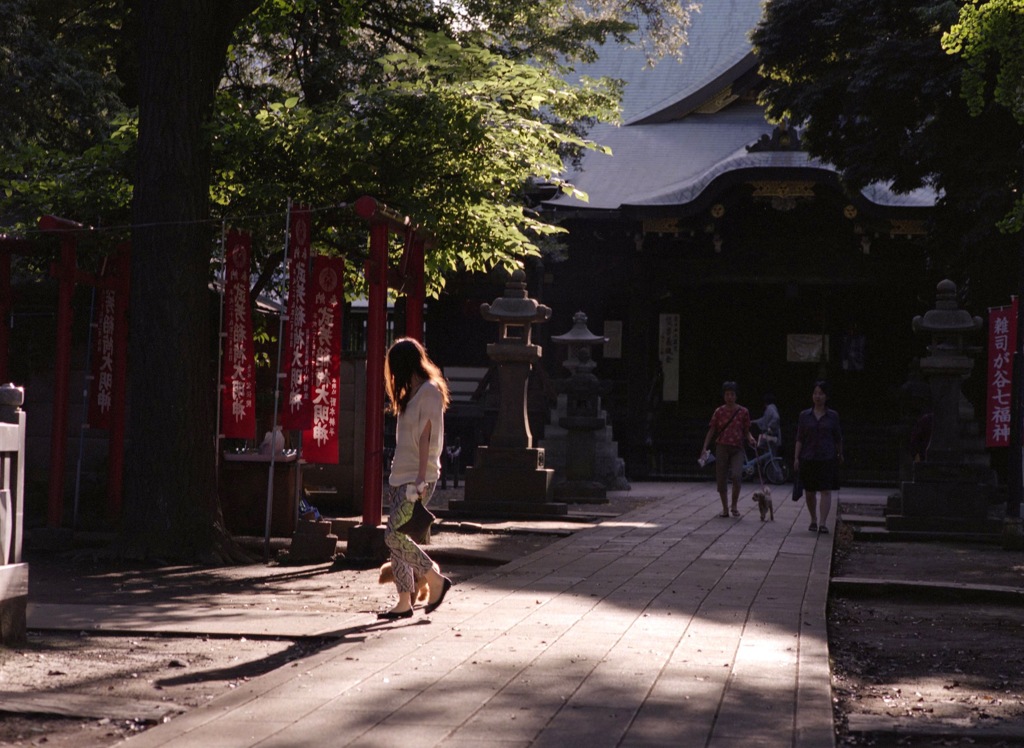 逆光の鬼子母神境内