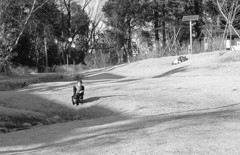 おとめ山公園の午後3