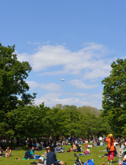 代々木公園の飛行船