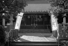 02氷川神社に七五三の季節