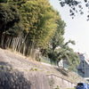いつもの目白：おとめ山脇の坂道