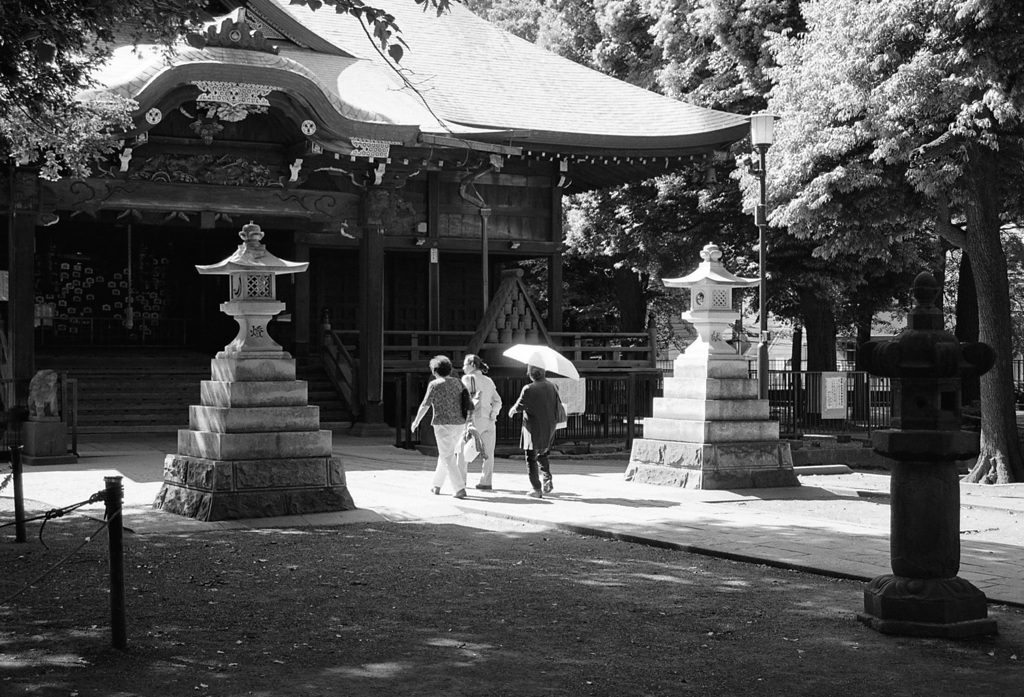 02早くも夏日の鬼子母神