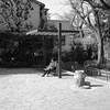 陽だまりの公園