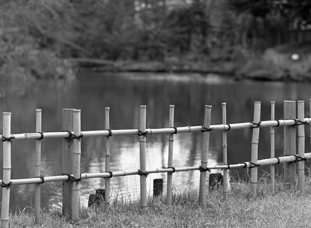 03竹柵と池