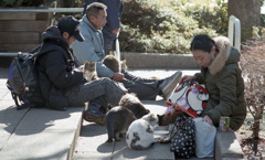 04猫と過ごす午後