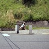 目白の新井薬師道ガード