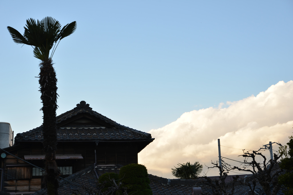 師走の池袋の空