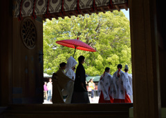 明治神宮の結婚式1