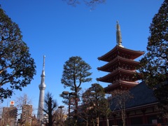 浅草寺五重塔とスカイツリー