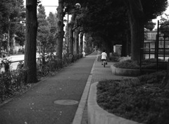 目白台の風景