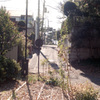 井の頭公園2