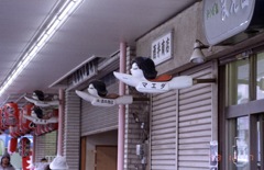 フライングかっぱ娘