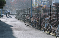 神田川の風景3