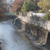神田川の風景2