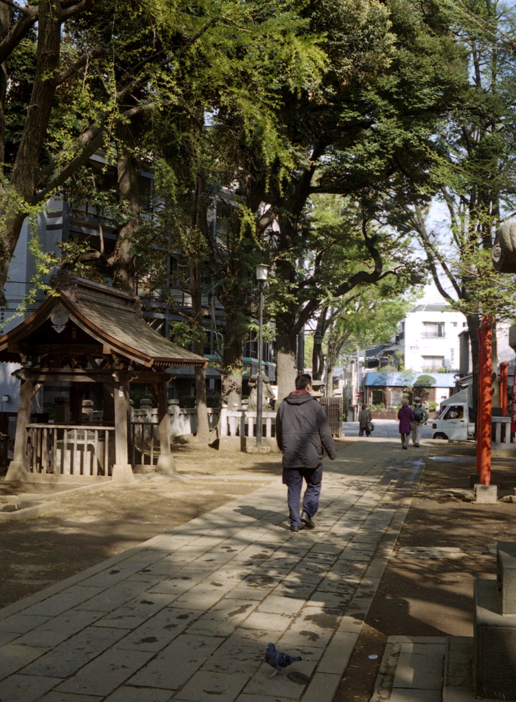 鬼子母神の風景2