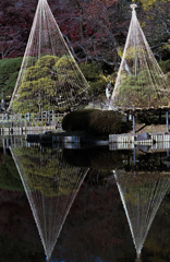 新江戸川公園
