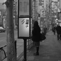 早稲田松竹前の夕暮れ