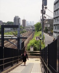 目白の花のはしから目白駅