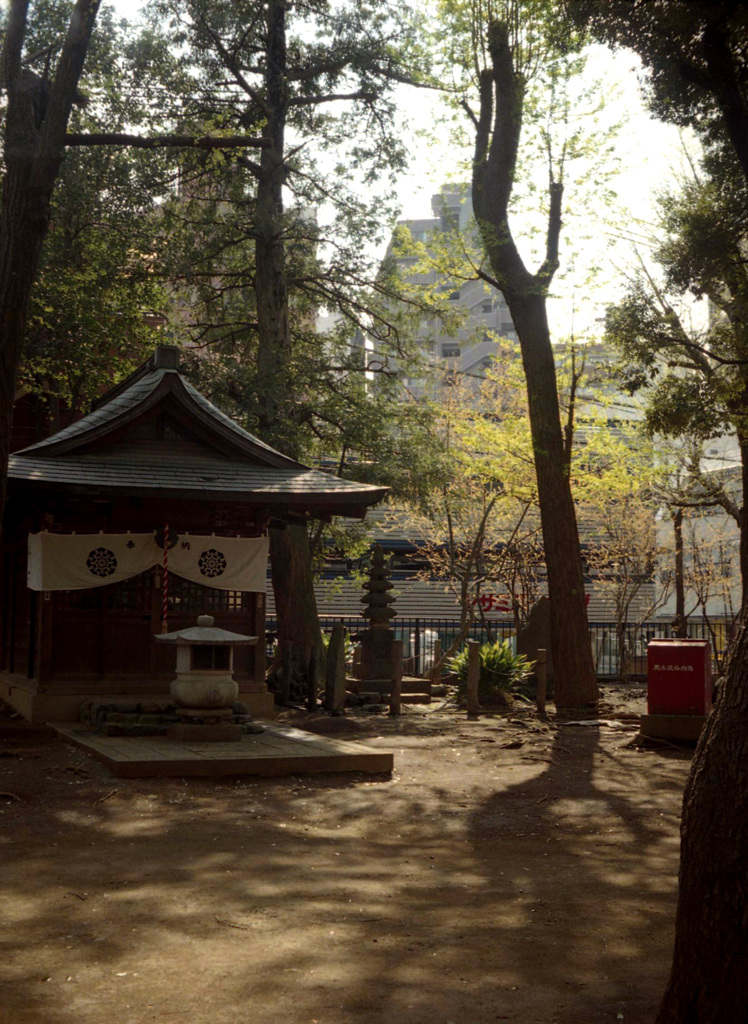 鬼子母神の風景1