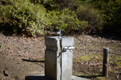 水飲み場