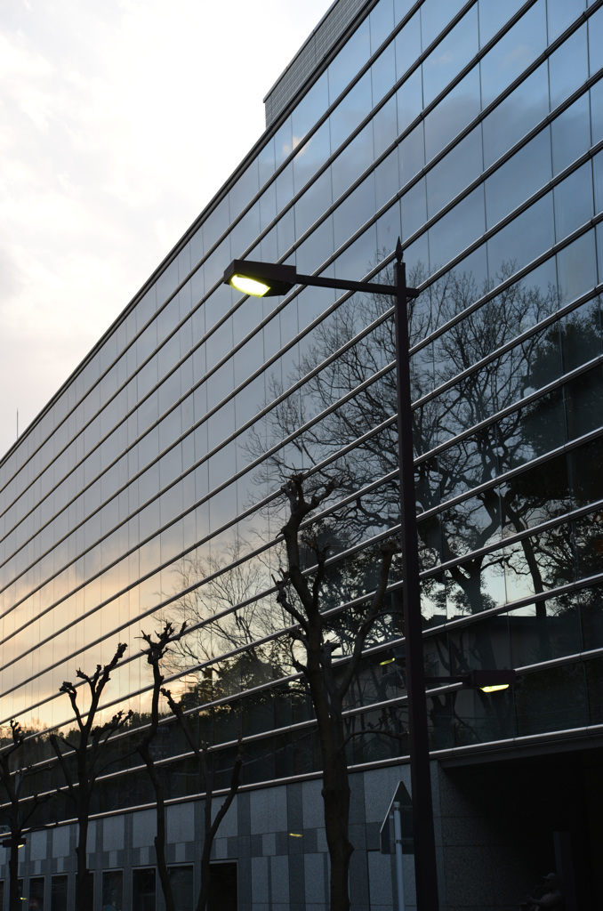 師走の目白の空