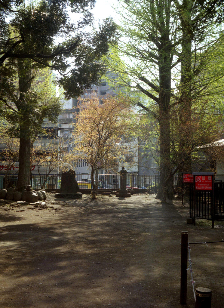 鬼子母神の風景3