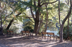 井の頭公園4