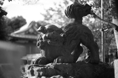 03氷川神社の狛犬